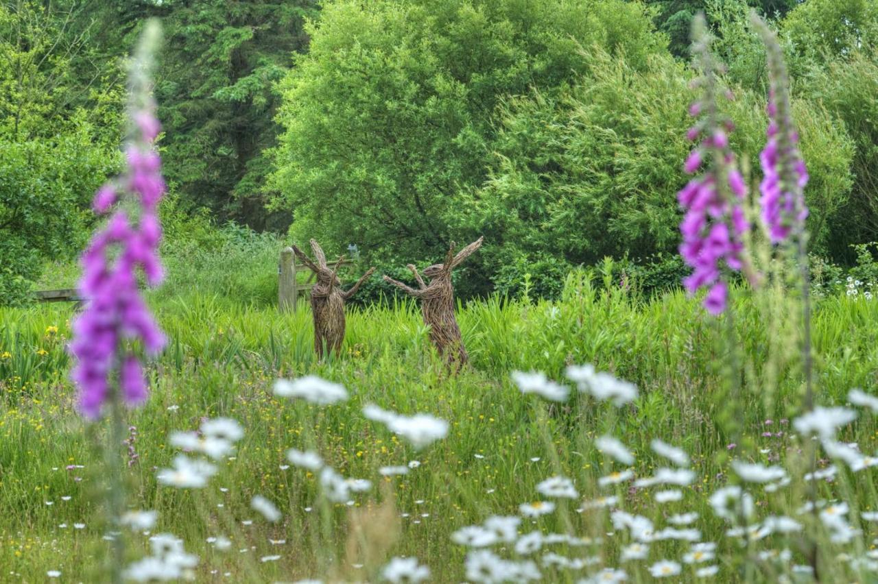 Orroland Holiday Cottages Dundrennan Exteriér fotografie