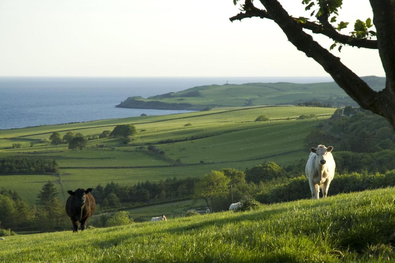 Orroland Holiday Cottages Dundrennan Exteriér fotografie