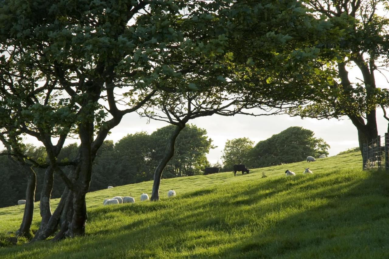 Orroland Holiday Cottages Dundrennan Exteriér fotografie