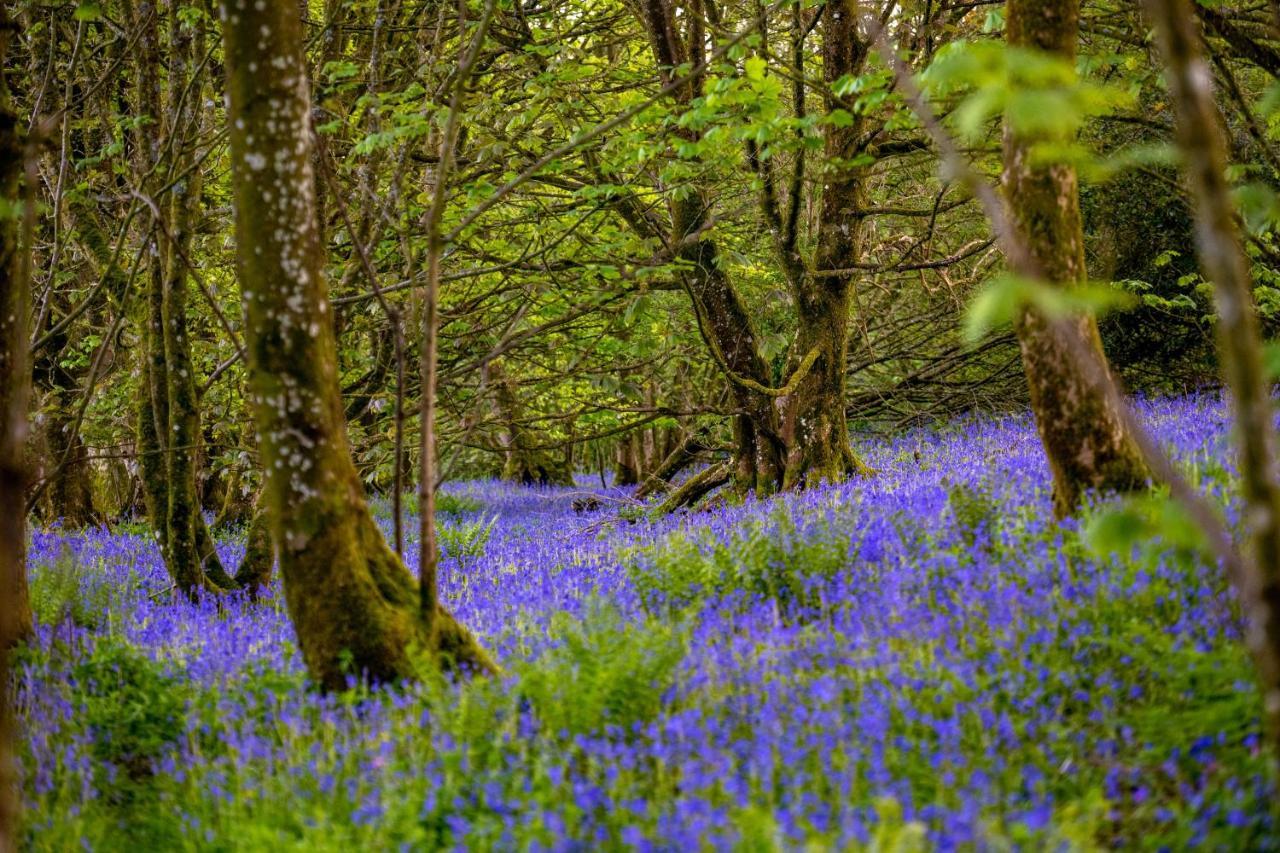 Orroland Holiday Cottages Dundrennan Exteriér fotografie